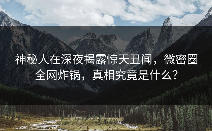 神秘人在深夜揭露惊天丑闻,微密圈全网炸锅,真相究竟是什么? 神秘人在深夜揭露惊天丑闻,微密圈全网炸锅,真相究竟是什么?